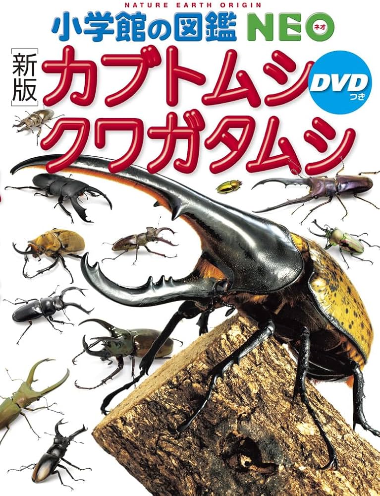 新版］カブトムシ・クワガタムシ DVDつき (小学館の図鑑NEO 16